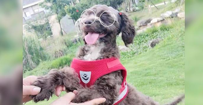 DƬ
